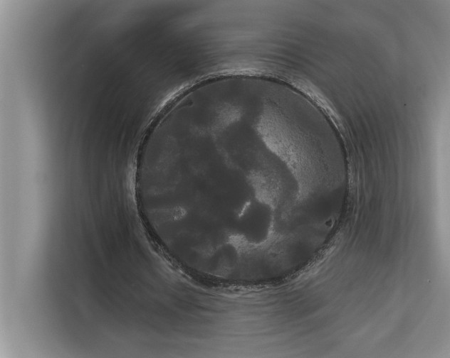 X0000113080434200908281226