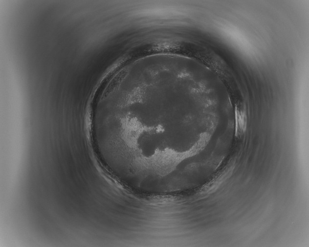 X0000113080435200908281226