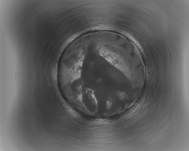 X0000113080437200908281226