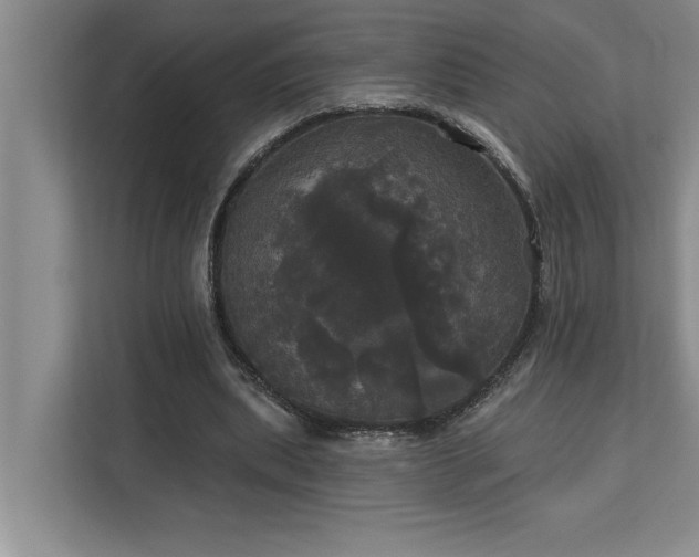 X0000113080439200908281226