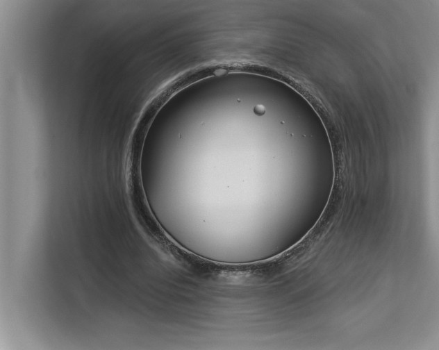 X0000113080440200908281226