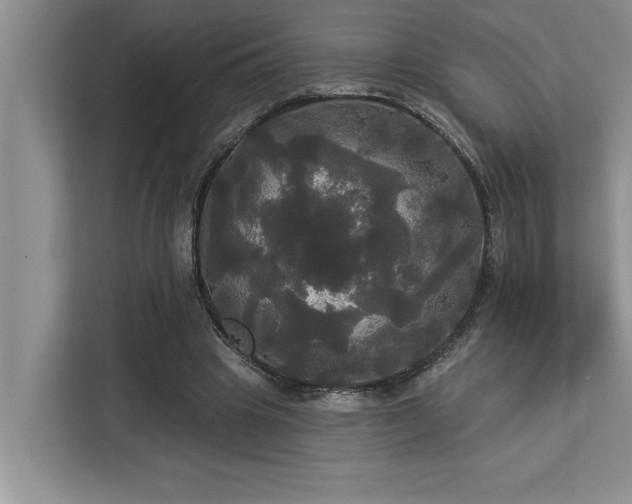 X0000113080441200908281226