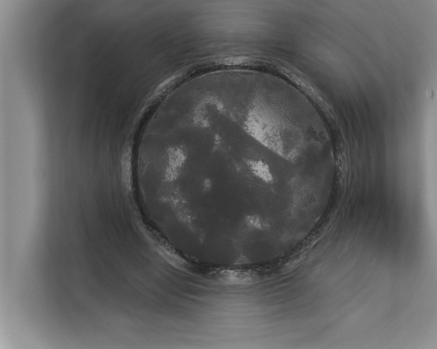 X0000113080442200908281226