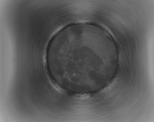 X0000113080443200908281226