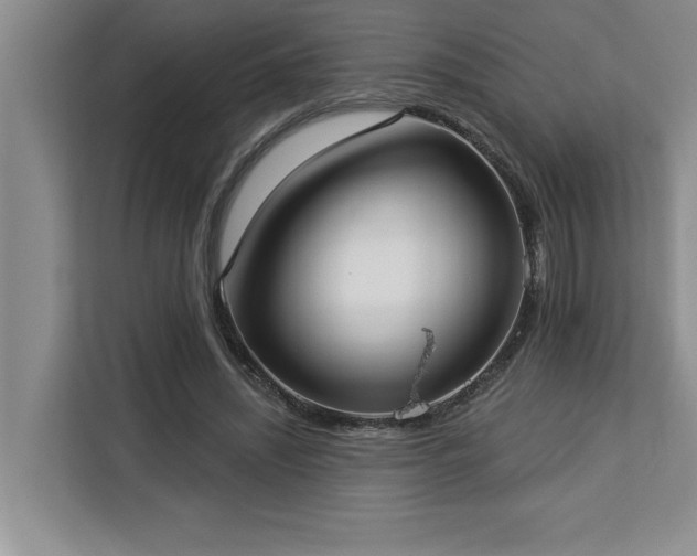 X0000113080444200908281226