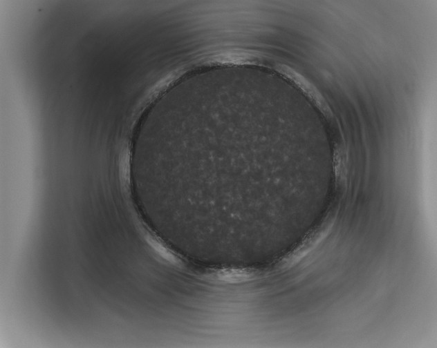 X0000113080445200908281226