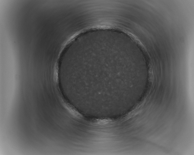 X0000113080446200908281226