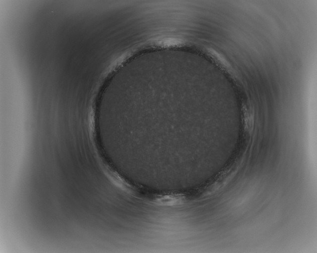 X0000113080447200908281226