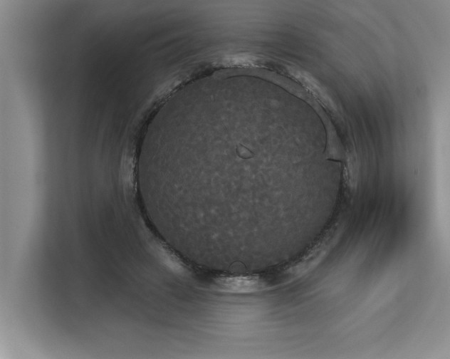 X0000113080449200908281226