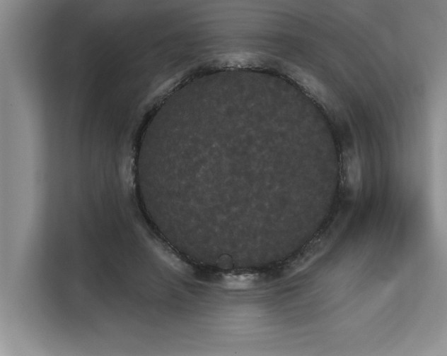 X0000113080450200908281226