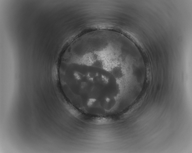 X0000113080453200908281226