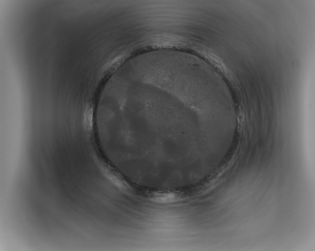 X0000113080454200908281226