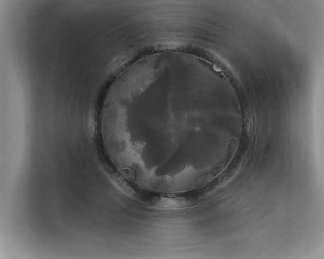 X0000113080455200908281226