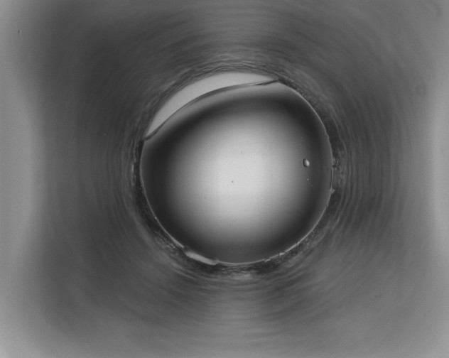 X0000113080456200908281226