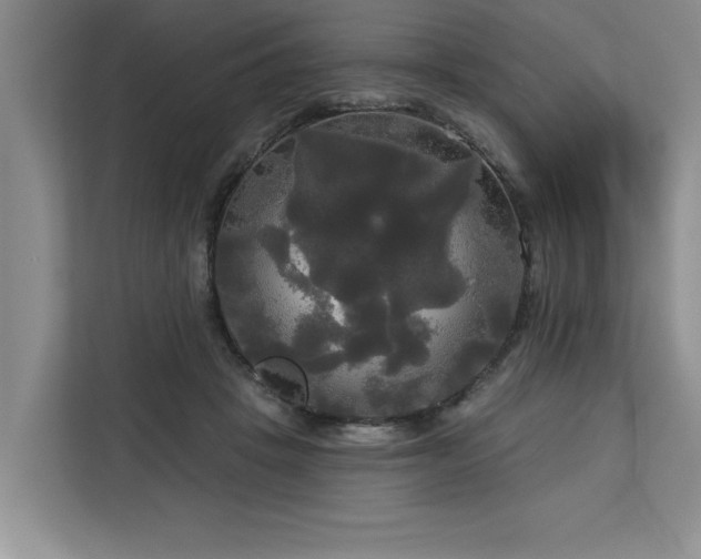 X0000113080457200908281226