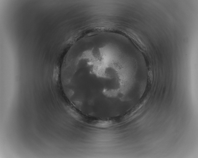 X0000113080458200908281226