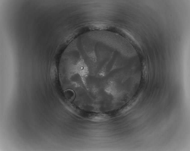 X0000113080459200908281226