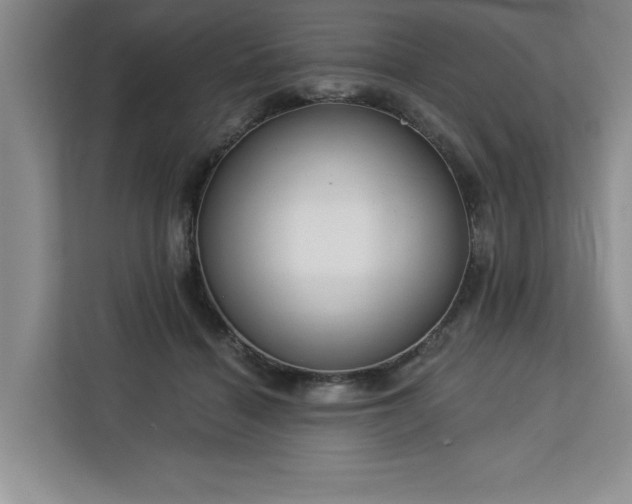 X0000113080460200908281226