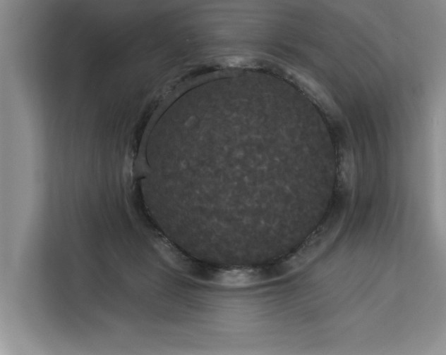 X0000113080461200908281226