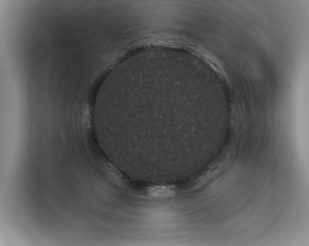 X0000113080465200908281226