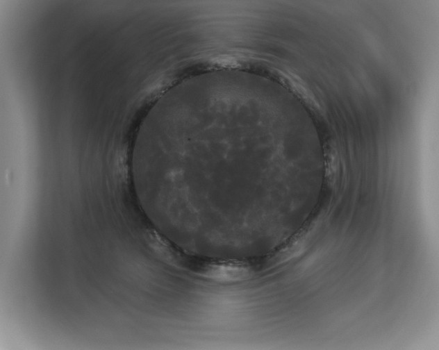 X0000113080466200908281226