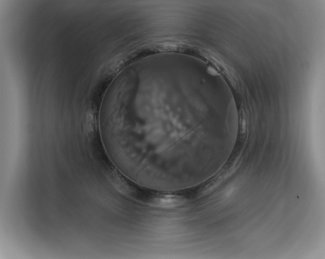 X0000113080467200908281227