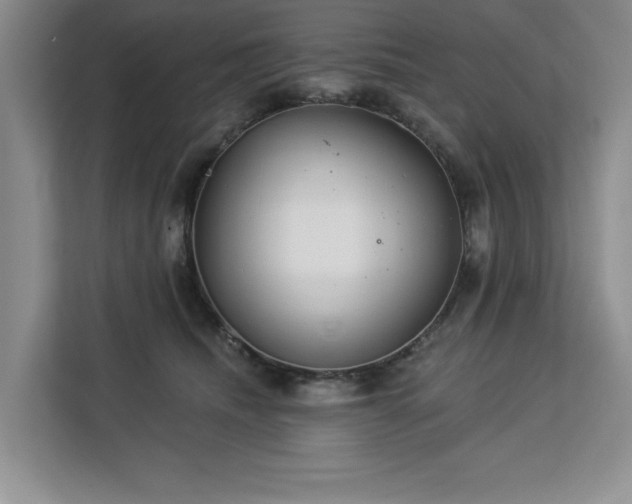 X0000113080468200908281227