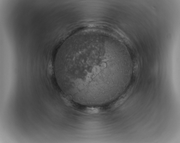 X0000113080469200908281227