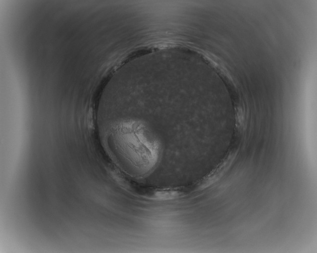 X0000113080470200908281227