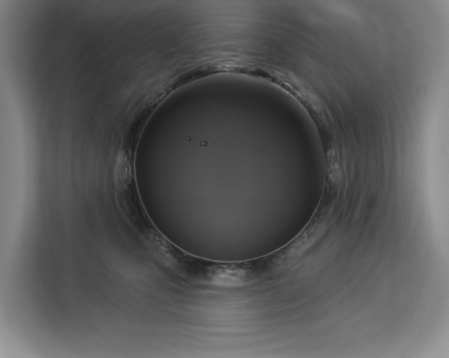 X0000113080471200908281227