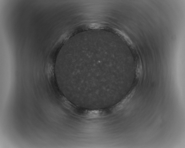 X0000113080473200908281227