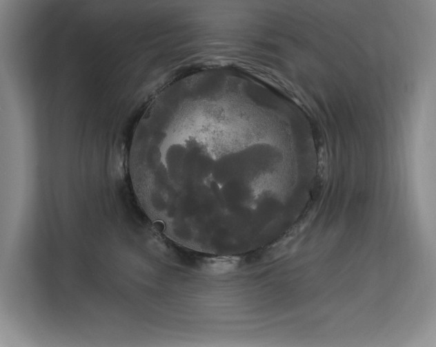 X0000113080474200908281227