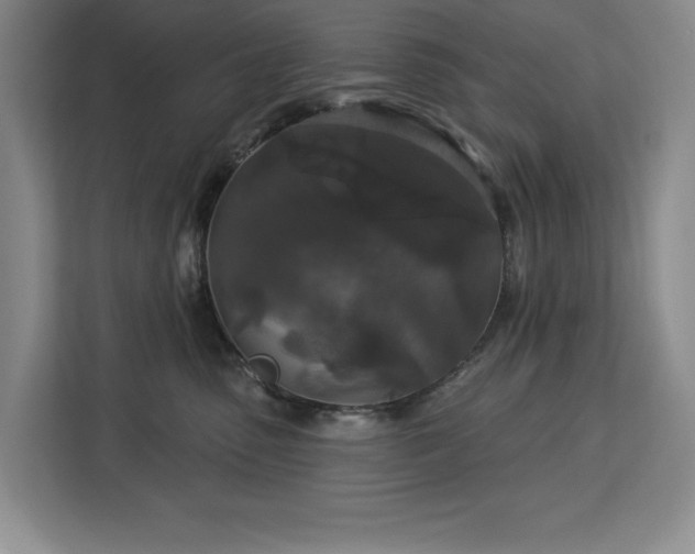 X0000113080475200908281227