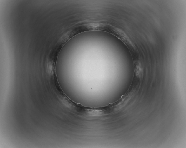 X0000113080476200908281227