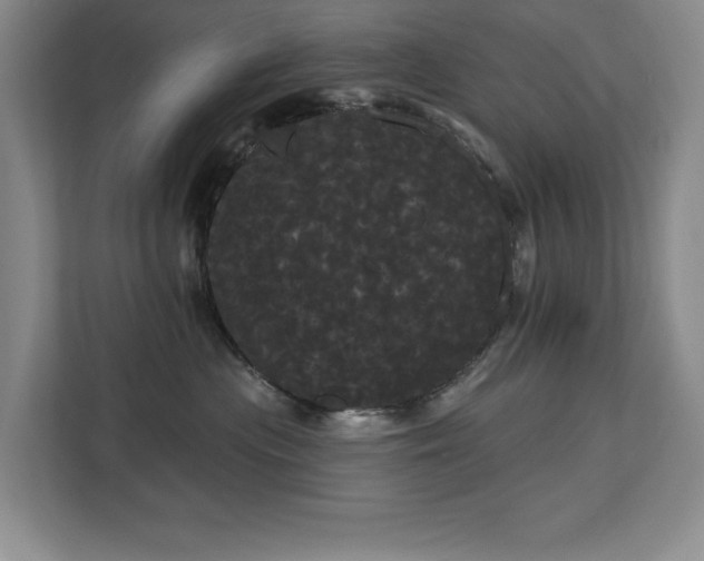 X0000113080477200908281227