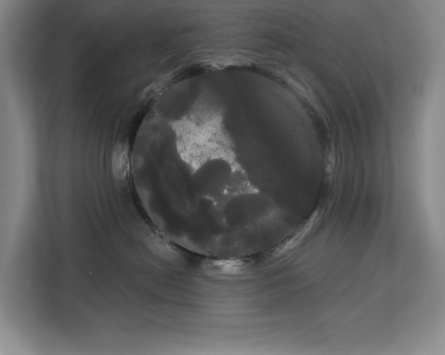 X0000113080478200908281227