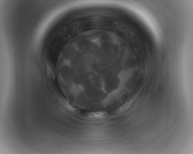 X0000113080479200908281227