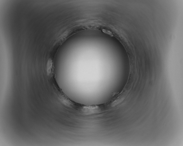 X0000113080480200908281227