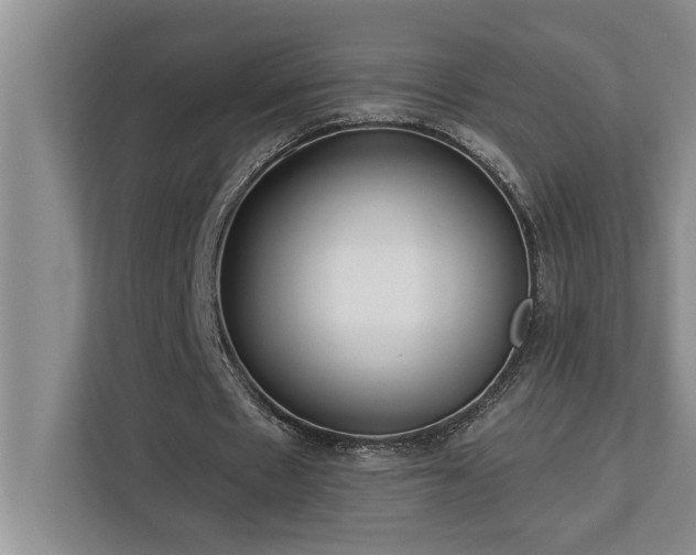 X0000113080481200908281226