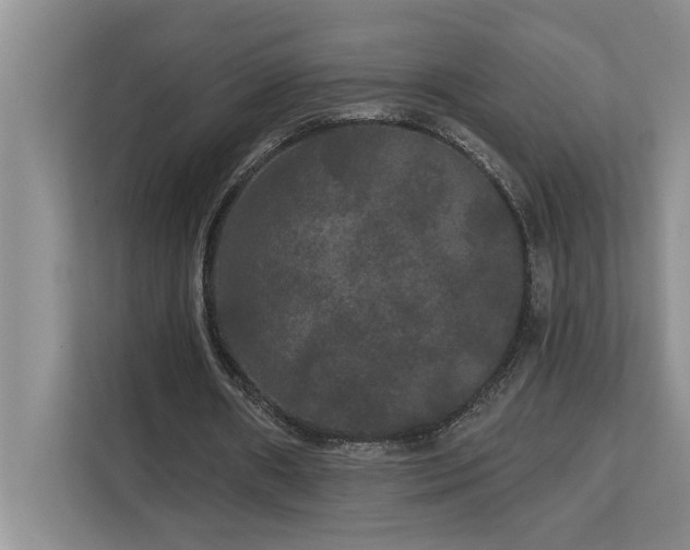 X0000113080482200908281226