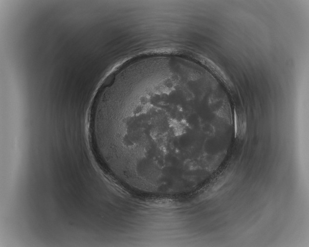 X0000113080483200908281226