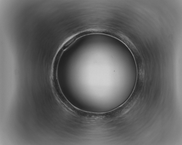 X0000113080484200908281226