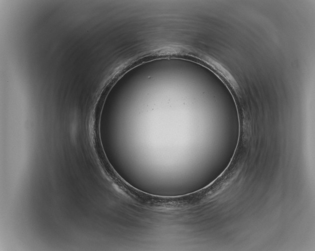 X0000113080485200908281226