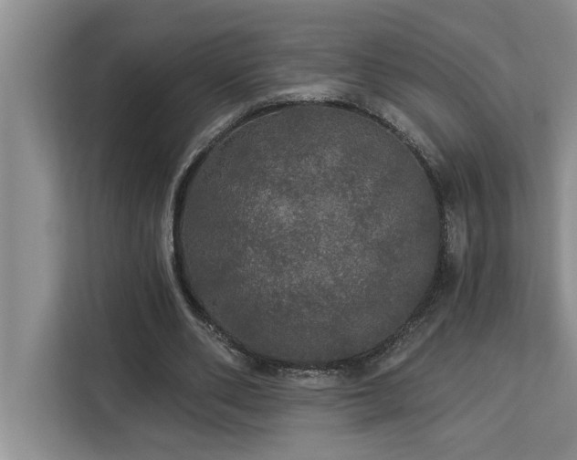 X0000113080486200908281226