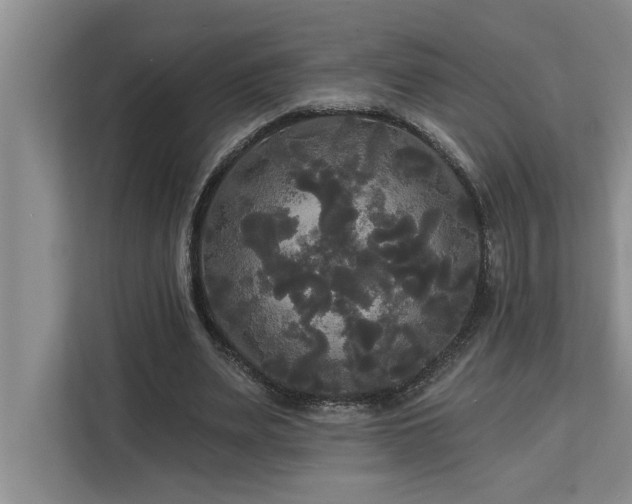 X0000113080487200908281226