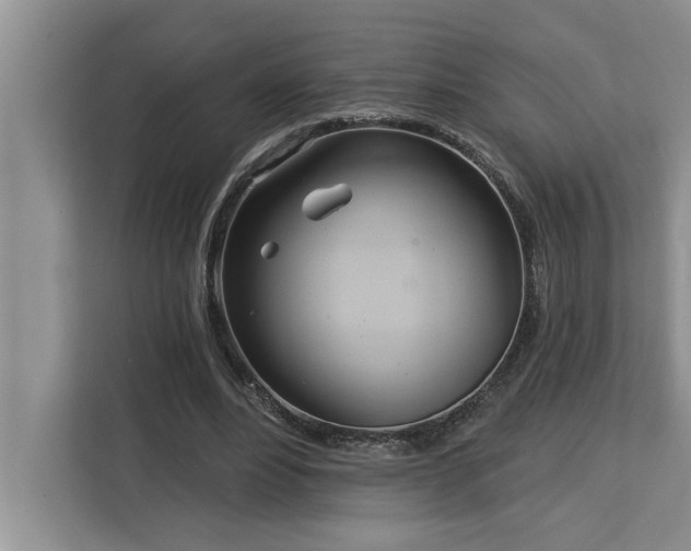 X0000113080488200908281226