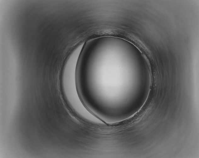 X0000113080489200908281226