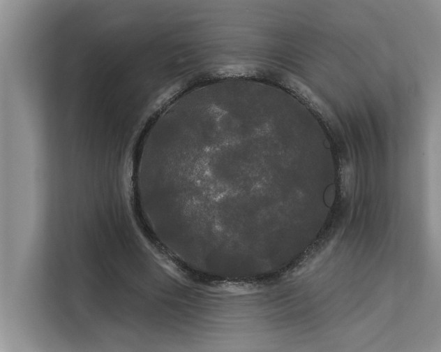 X0000113080490200908281226