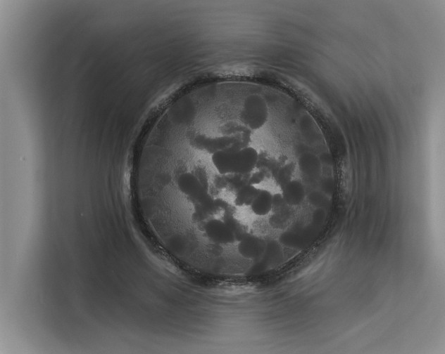 X0000113080491200908281226