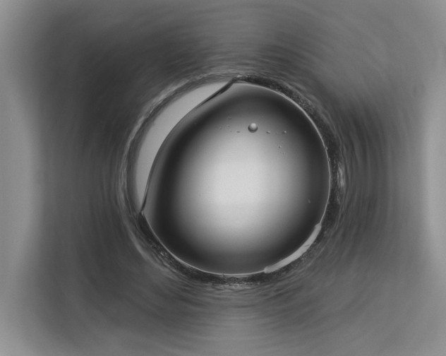 X0000113080492200908281226